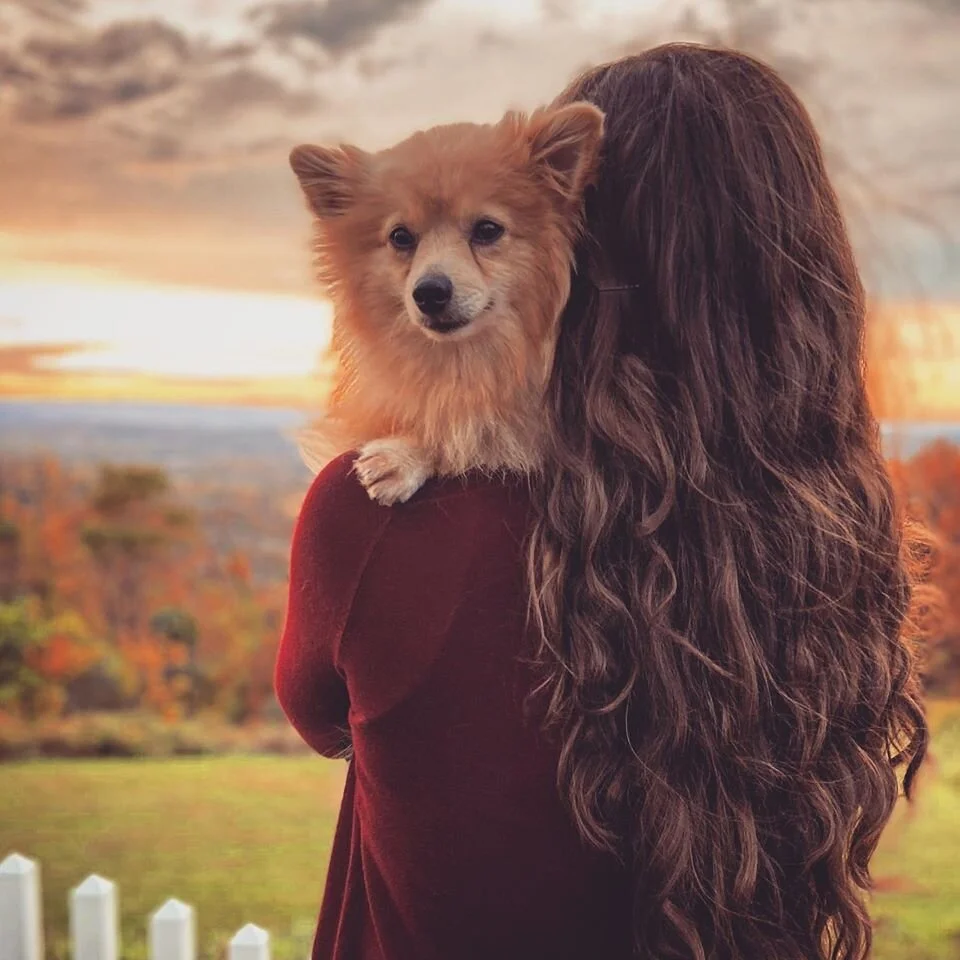 A foster volunteer sitting with a happy rescue dog